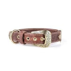 ماي فاميلي ال باسو طوق جلد بني 26×1.6 سم