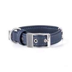 ماي فاميلي بلباو طوق جلد أزرق 26×1.6 سم