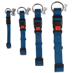 جيم دوق طوق نايلون كلاب لون أزرق 2.5×60 سم