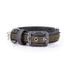 ماي فاميلي لندن طوق جلد أخضر 36×2.2 سم