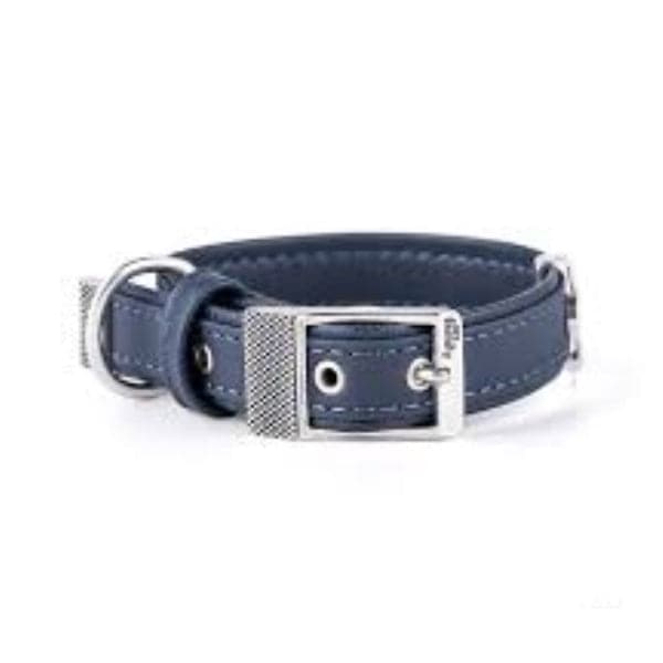 ماي فاميلي بلباو طوق جلد أزرق 26×1.6 سم