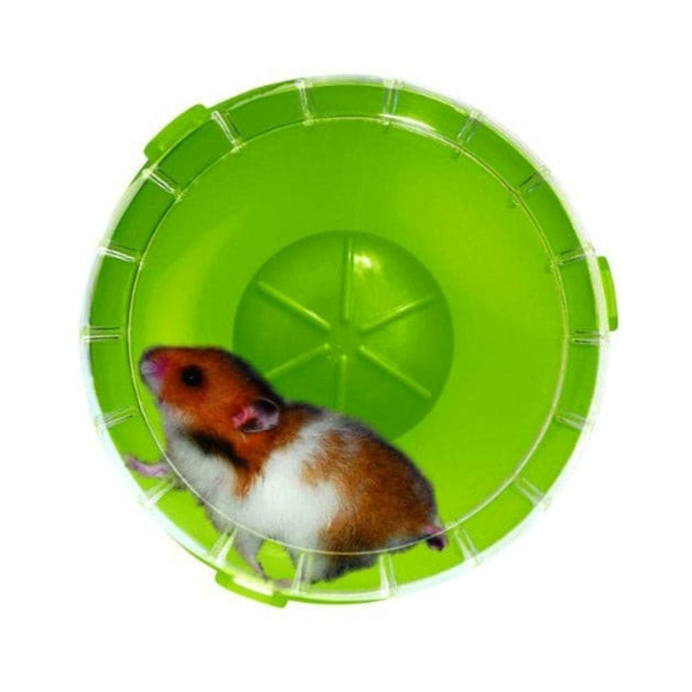 زولكس رودي عجلة صامتة مصغرة للقوارض الصغيرة - أخضر